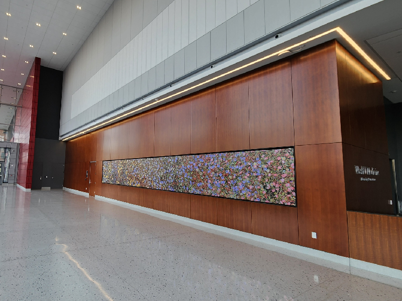 Lobbies & Common Spaces